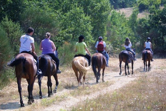 The Importance Of Horse Trail Ridesto Tourism